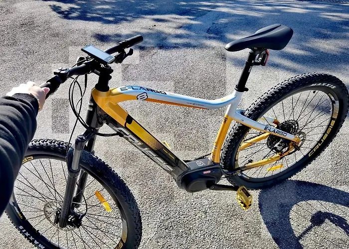 Aparthotel Hisa Wambrechtsamer - House Wambrechtsamer *